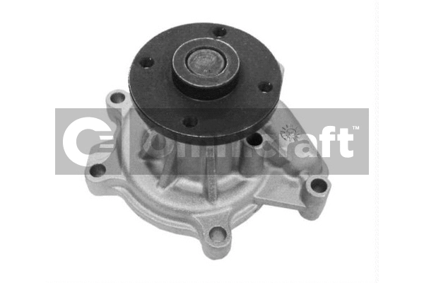Pompe à eau, refroidissement du moteur Omnicraft 2317034
