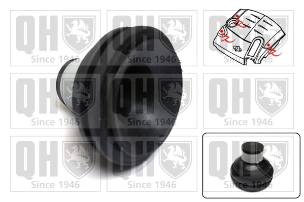 Cache moteur QUINTON HAZELL EM4839