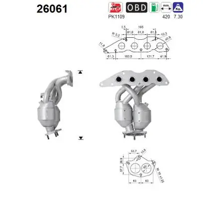 Catalyseur AS 26061