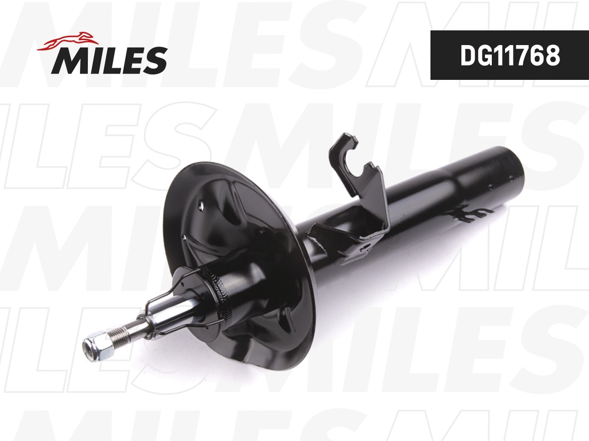 Amortisseur MILES DG11768