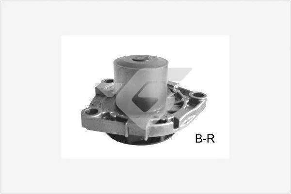 Pompe à eau, refroidissement du moteur HUTCHINSON WP0072V