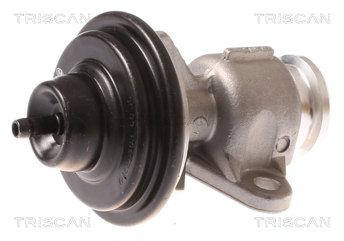 Vanne EGR TRISCAN 8813 44015