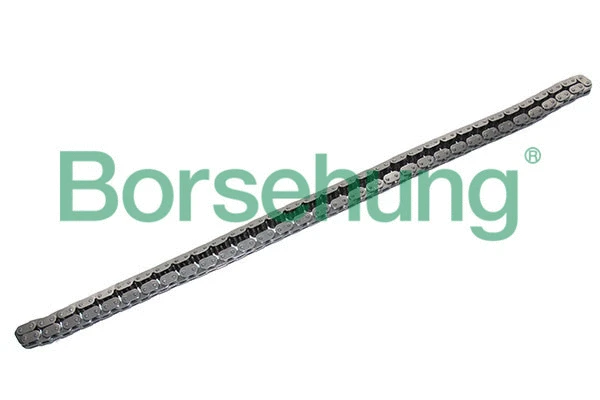 Chaîne de distribution Borsehung B17877