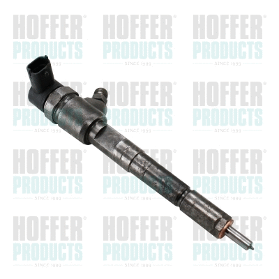 Injecteur HOFFER H74063R
