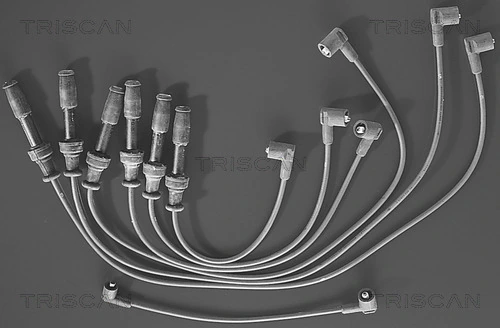 Kit de câbles d'allumage TRISCAN 8860 4325