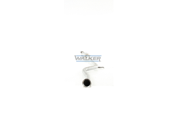 Catalyseur WALKER 19172