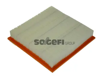 Filtre à air FRAM CA9762