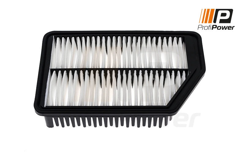 Filtre à air ProfiPower 2F0155