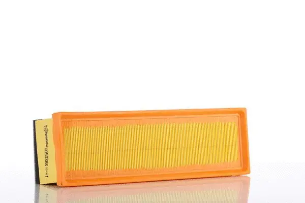 Filtre à air PZL Filters WA50366