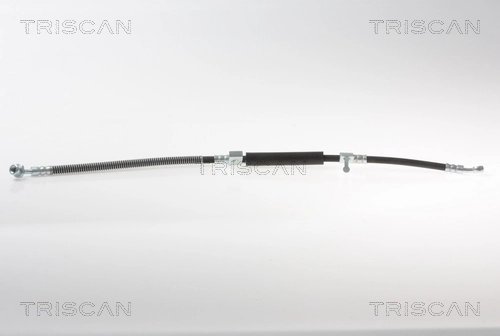 Flexible de frein TRISCAN 8150 18150