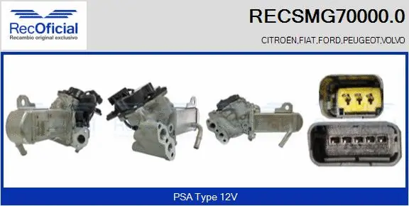 Module-EGR RECOFICIAL RECSMG70000.0