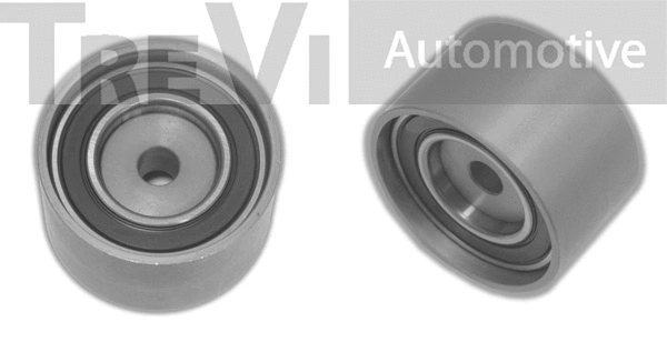 Poulie renvoi/transmission, courroie crantée TREVI AUTOMOTIVE TD1613