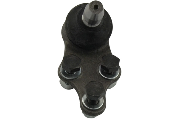 Rotule de suspension KAVO PARTS SBJ-1011