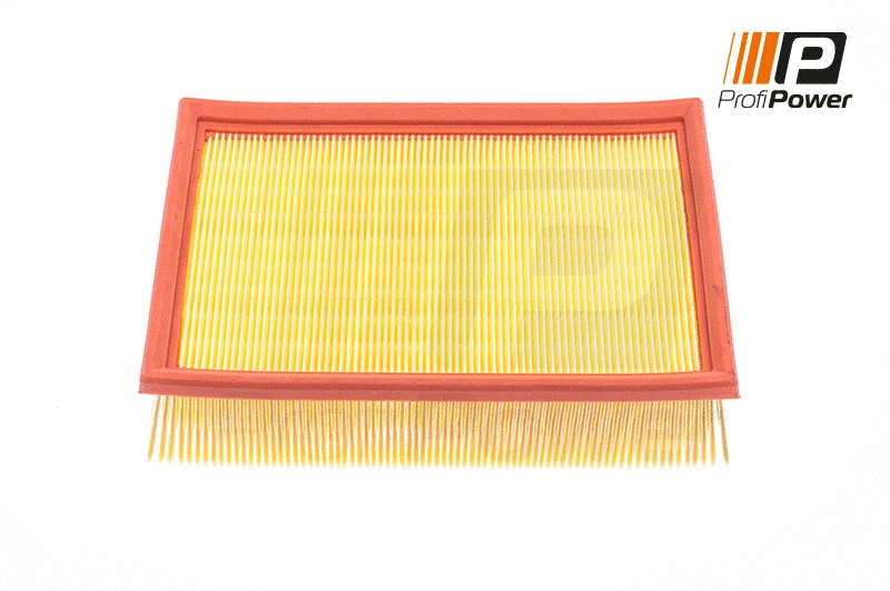 Filtre à air ProfiPower 2F0096