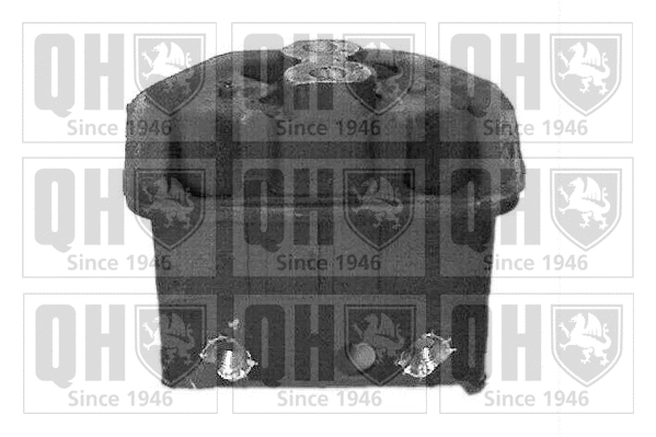 Support moteur QUINTON HAZELL EM2462