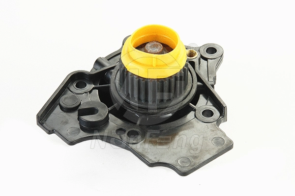 Pompe à eau, refroidissement du moteur NANFENG NF0276