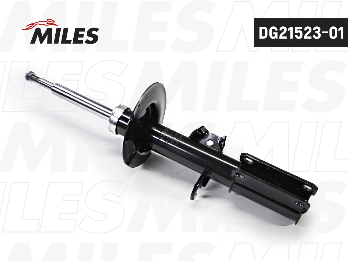 Amortisseur MILES DG21523-01