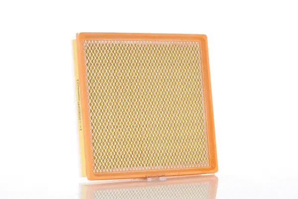 Filtre à air PZL Filters WA59660
