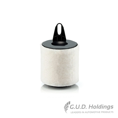 Filtre à air GUD AG1358