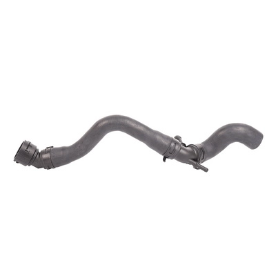 Durite de radiateur BAPMIC BF0426660171
