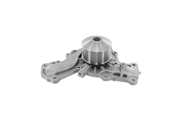 Pompe à eau, refroidissement du moteur SKF Brazil VKPC 95879