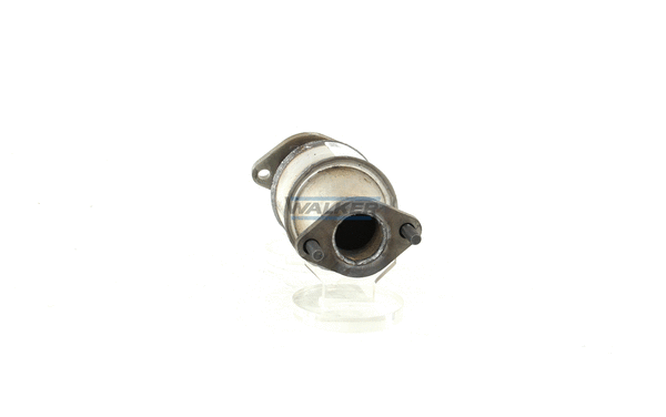 Catalyseur WALKER 28205