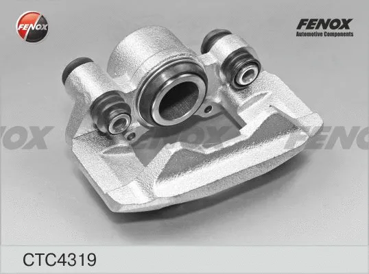 Jeu d'axes d'étriers de freins FENOX CTC4319