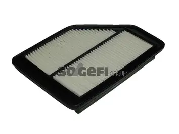 Filtre à air FRAM CA10565