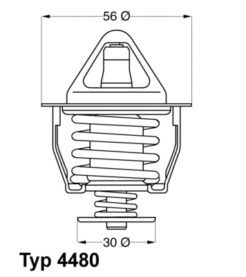 Thermostat, liquide de refroidissement BorgWarner (Wahler) 4480.82D