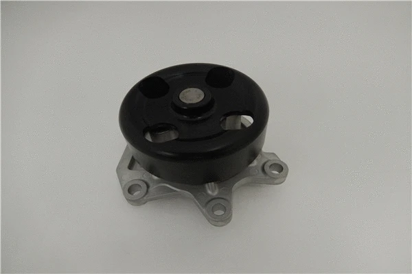 Pompe à eau, refroidissement du moteur GMB GWN-101A