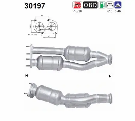 Catalyseur AS 30197