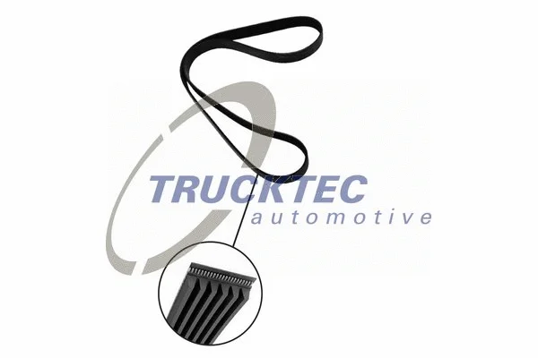 Courroie trapézoïdale à nervures TRUCKTEC AUTOMOTIVE 08.19.072
