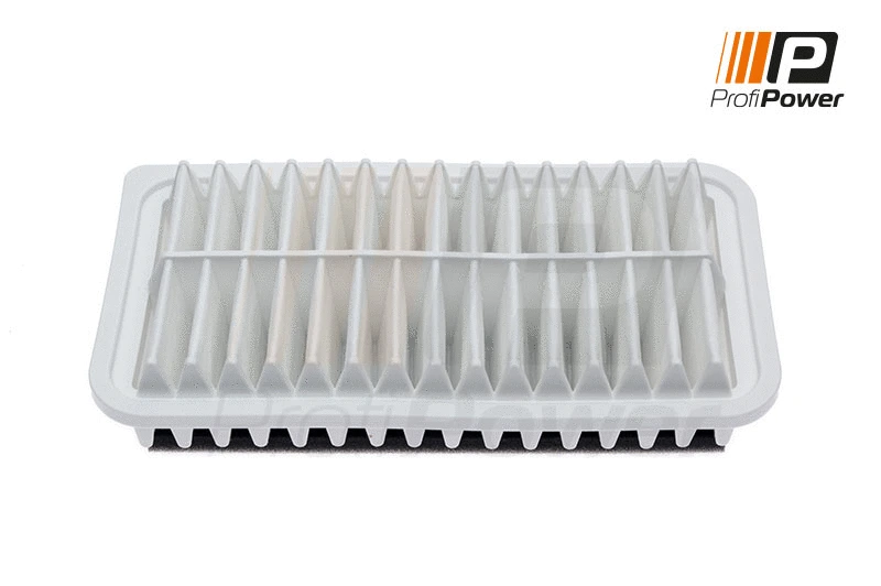 Filtre à air ProfiPower 2F0050