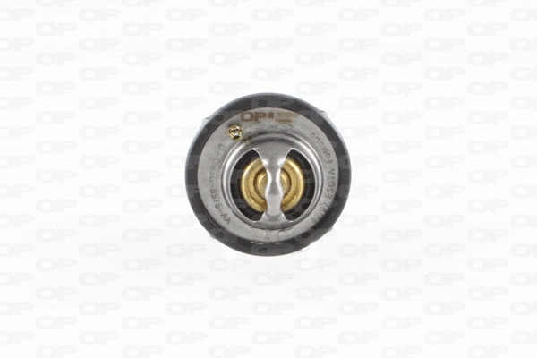 Thermostat, liquide de refroidissement OPEN PARTS TRM1041.00