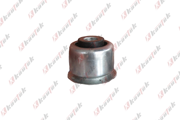 Roulement, boîtier du roulement des roues KAUTEK PE-BS049