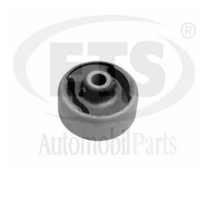 Suspension, bras de liaison ETS 06.SB.516