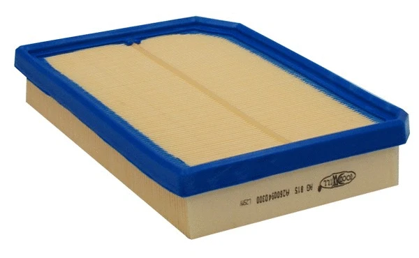 Filtre à air GOODWILL AG 815