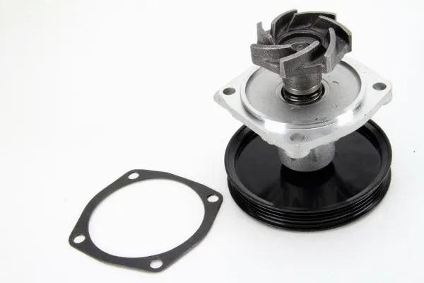 Pompe à eau, refroidissement du moteur THERMOTEC D1H015TT