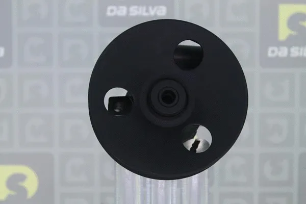 Pompe hydraulique, direction DA SILVA DP3489