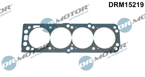 Joint, culasse LIZARTE DRM15219