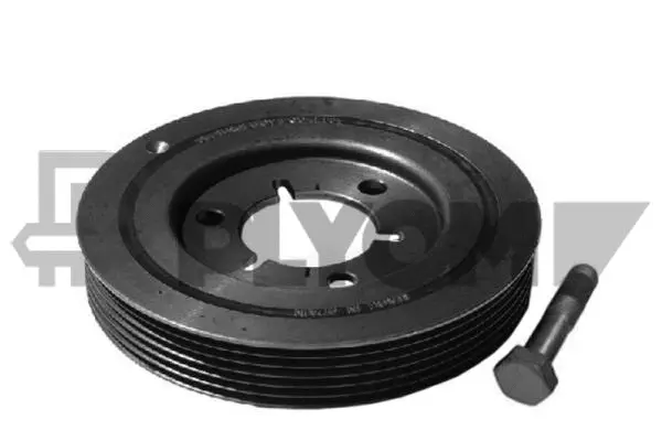 Kit de poulies, vilebrequin PLYOM P752329