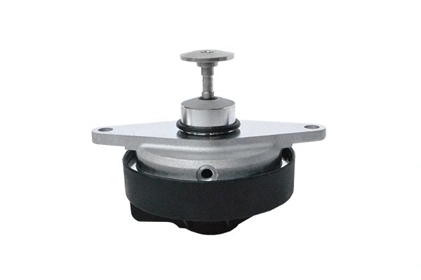 Vanne EGR ASAM AUTOMOTIVE 74208