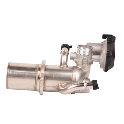 Vanne EGR BAPMIC BF0425820014