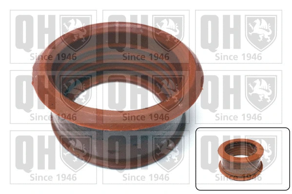 Gaine de suralimentation QUINTON HAZELL QTG1000