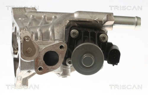 Vanne EGR TRISCAN 8813 10118