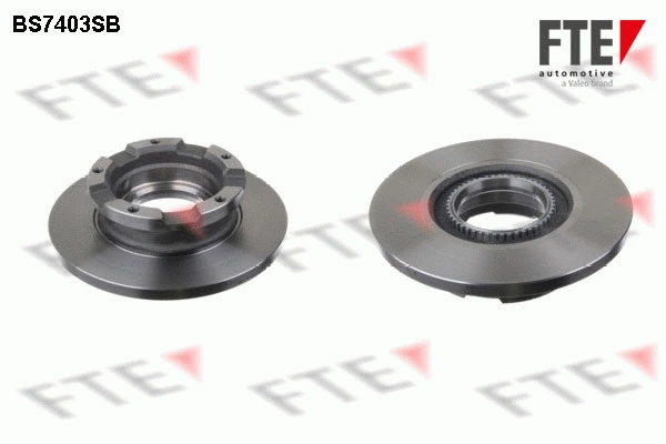 Disque de frein FTE 9081105