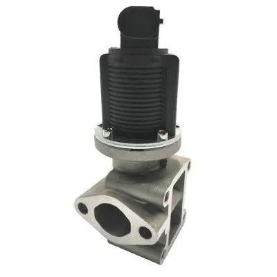 Vanne EGR GAUSS GI2052