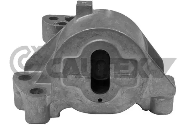 Support moteur CAUTEX 031494