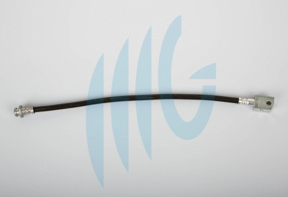 Flexible de frein RICAMBIFLEX GM 02101092