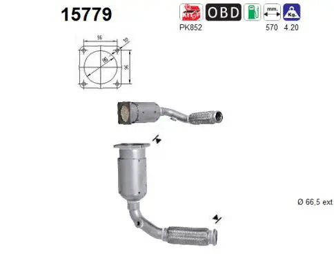 Catalyseur AS 15779